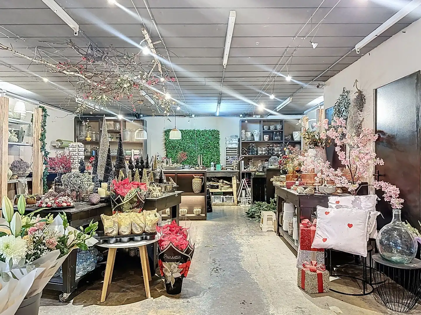 Unieke commerciële ruimte in de iconische molen “De Brak” – Sluis foto 7