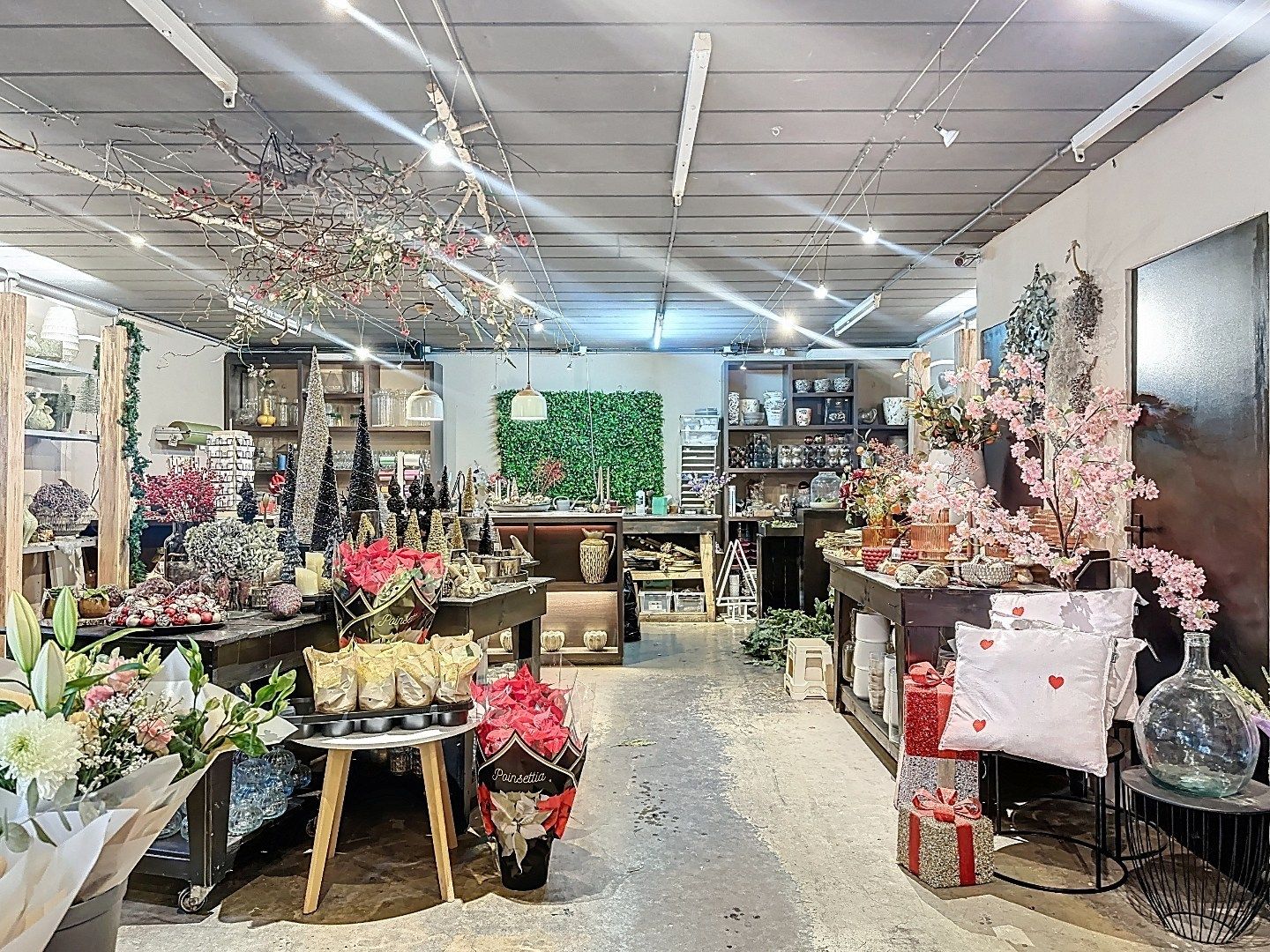 Unieke commerciële ruimte in de iconische molen “De Brak” – Sluis foto 7