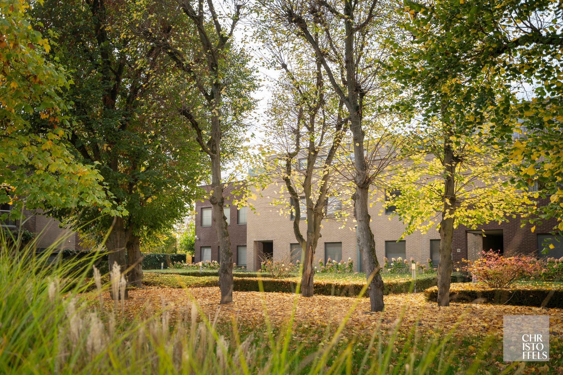 Luxe Penthouse met panoramische glaspartijen en 96m² terrassen in Parkresidentie Oud-Rekem foto 22