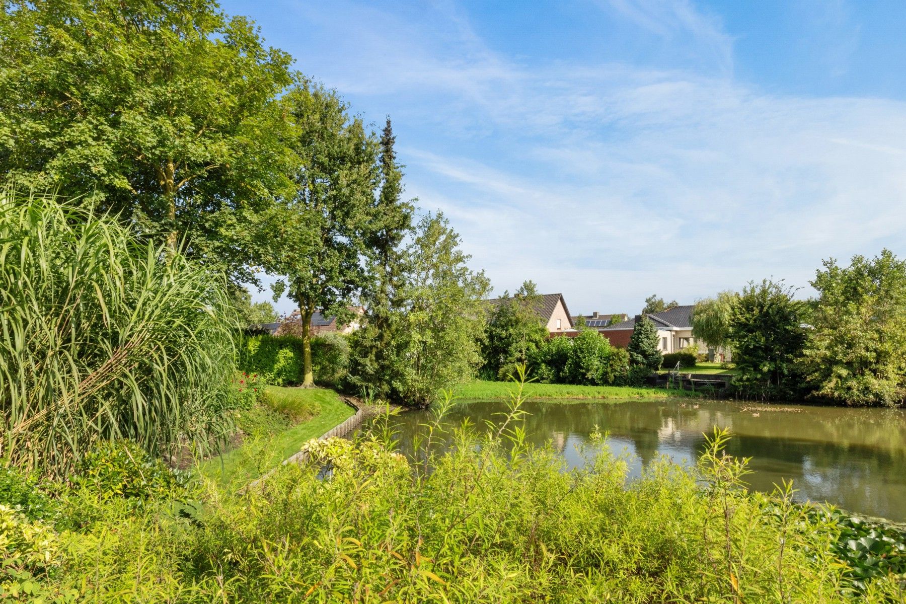 Instapklare woning met vijverzicht in het groene Bellem! foto 1