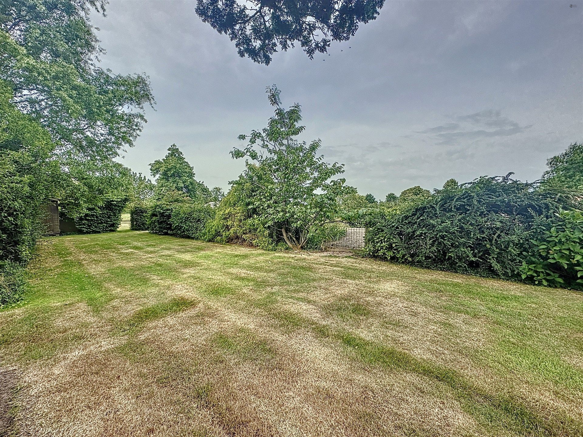 Open bebouwing met 4 slaapkamers op perceel van 2.062m² omringd door velden! foto 8