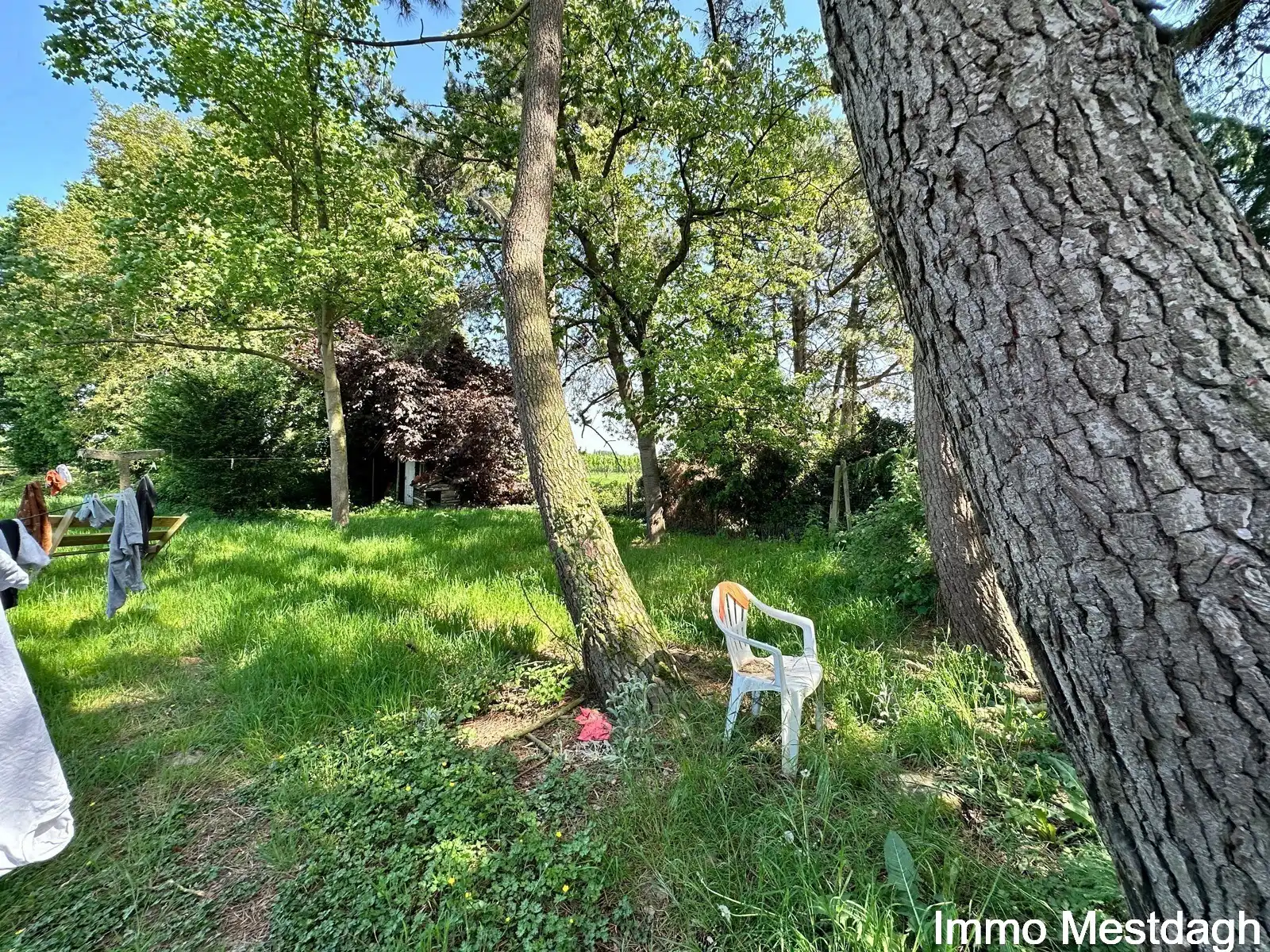 Ruime woning met potentieel op +12a in Geetbets foto 6