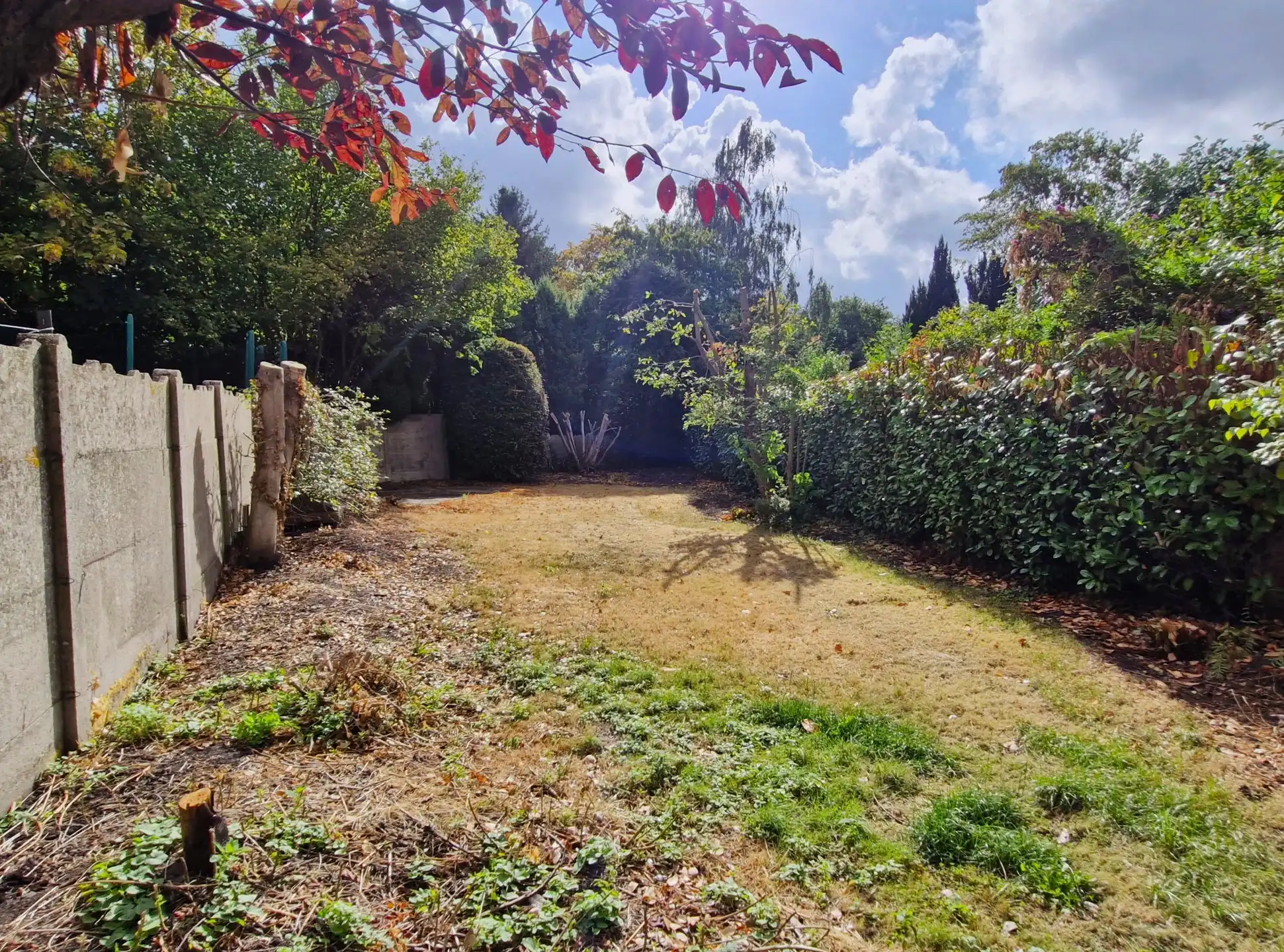Huis te huur foto 17