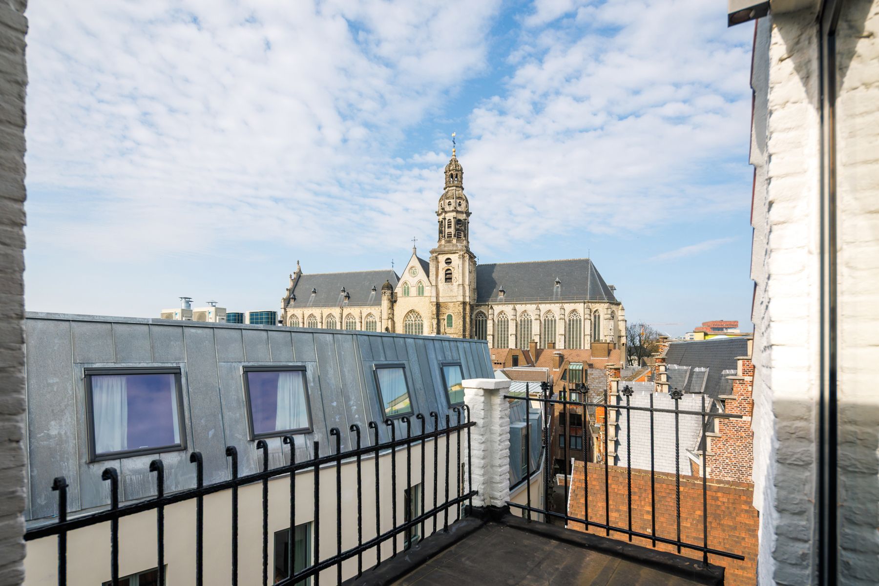Dakappartement in totaalrenovatie project hartje Antwerpen foto 3
