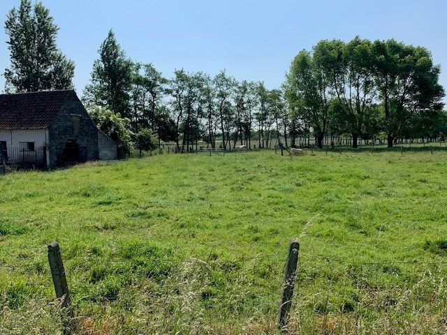 Te renoveren landelijke hoeve op prachtig perceel grond van ca. 2 hectare foto 10