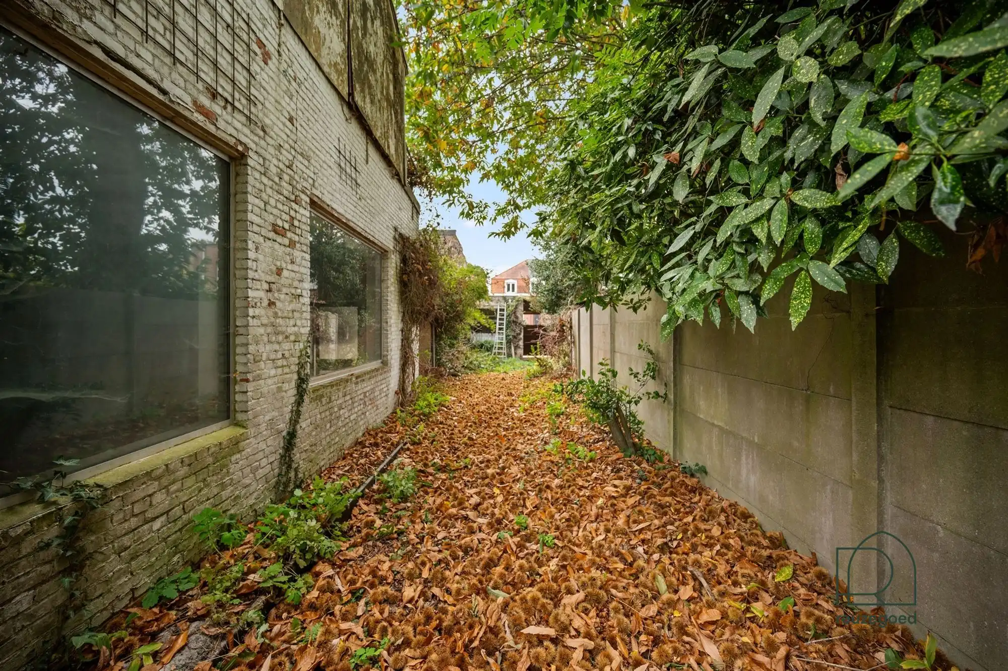 Ruime woning met authentieke charme, bijgebouwen en tal van mogelijkheden in Hombeek foto 27