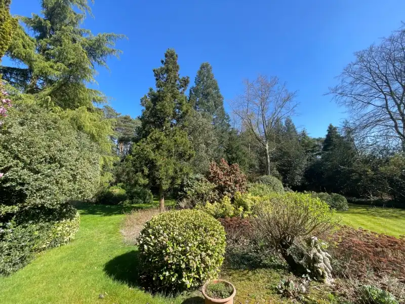 Villabouwgrond te koop – 1.967 m² – Hoge Kaart (links nr. 10) foto 6