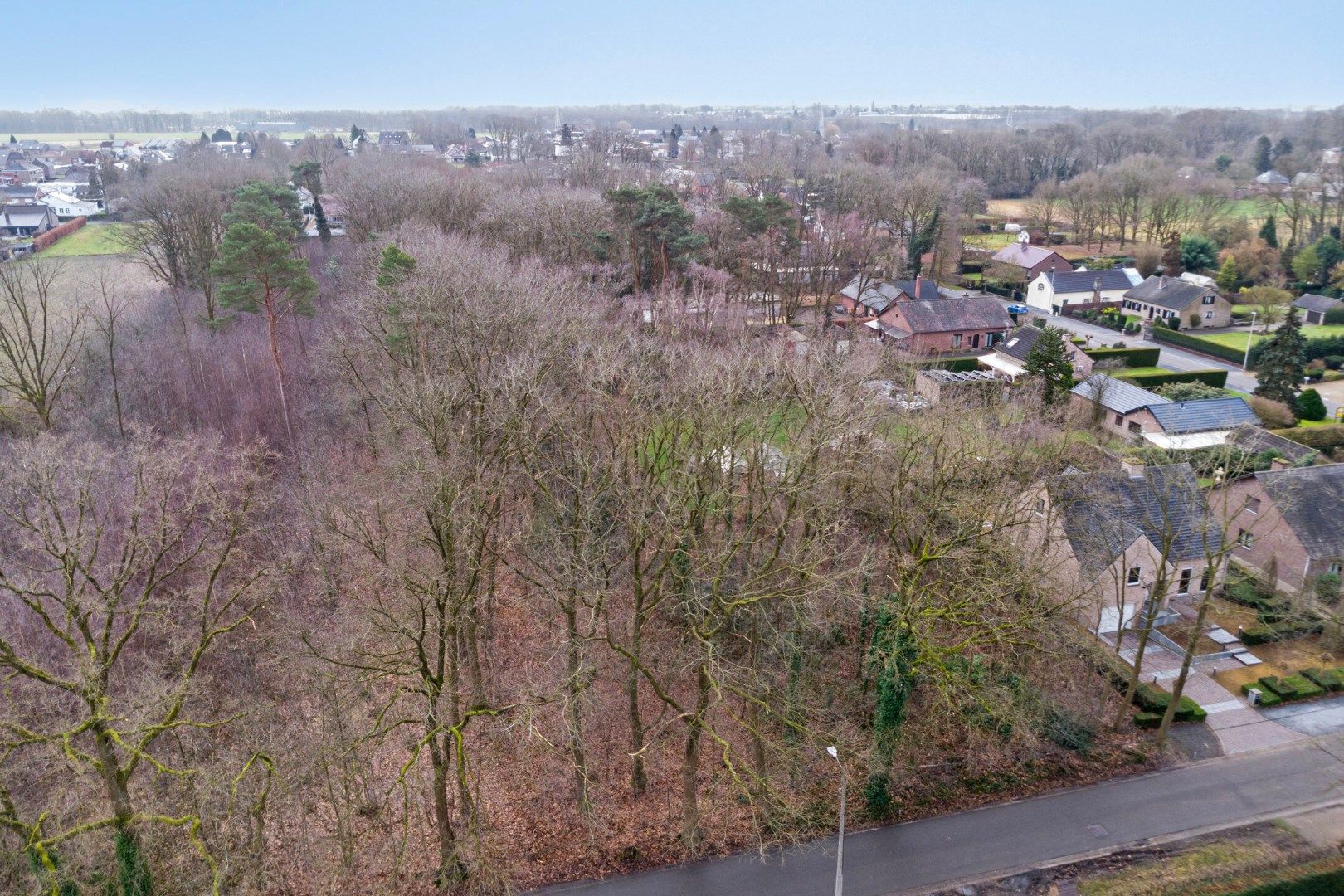 BOUWGROND VOOR OPEN BEBOUWING in de bosrijke villabuurt op de Bosstraat te Lanaken ! foto 2