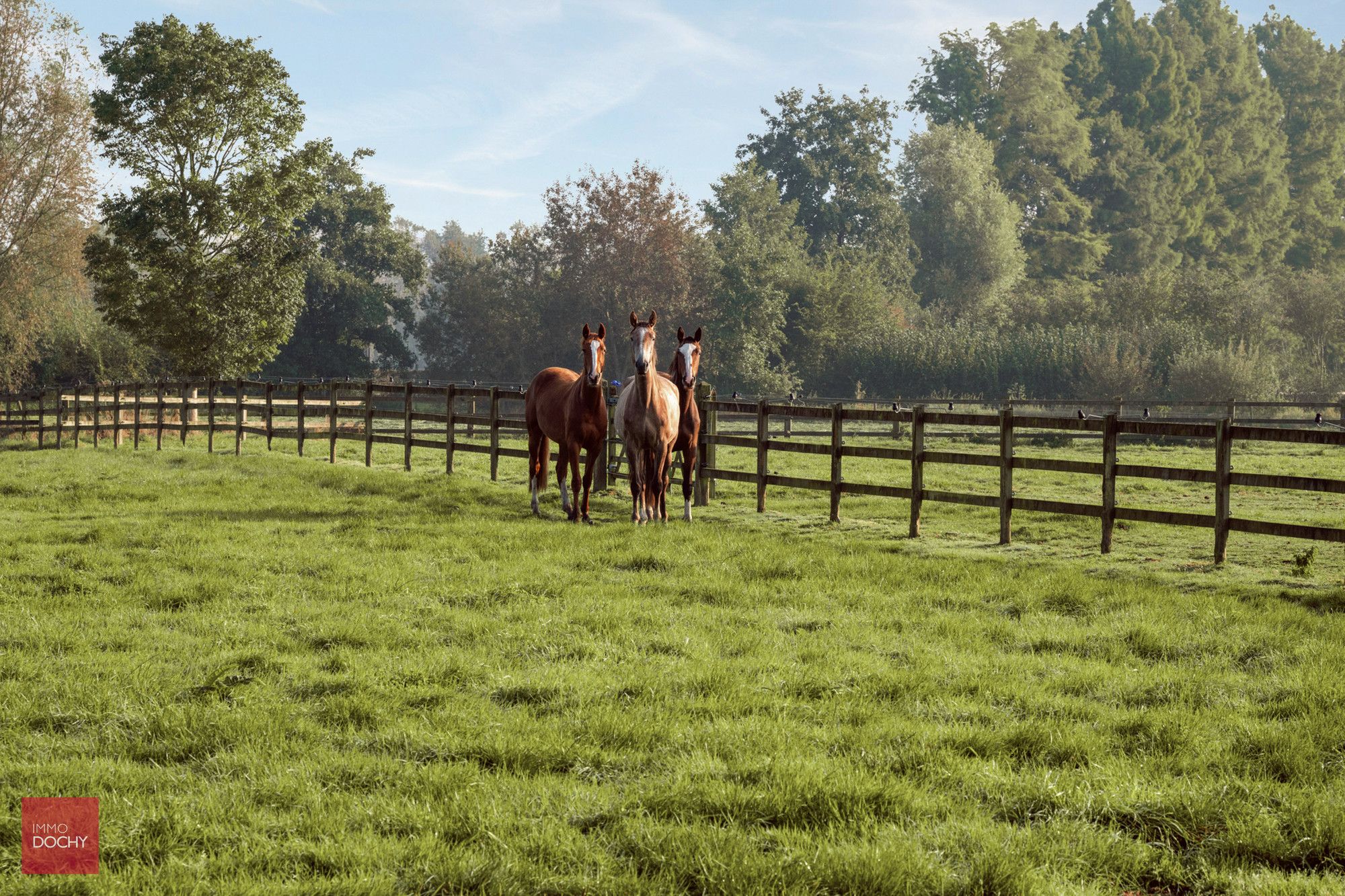Unieke eigendom op ca. 6ha met paardenaccommodatie foto 11