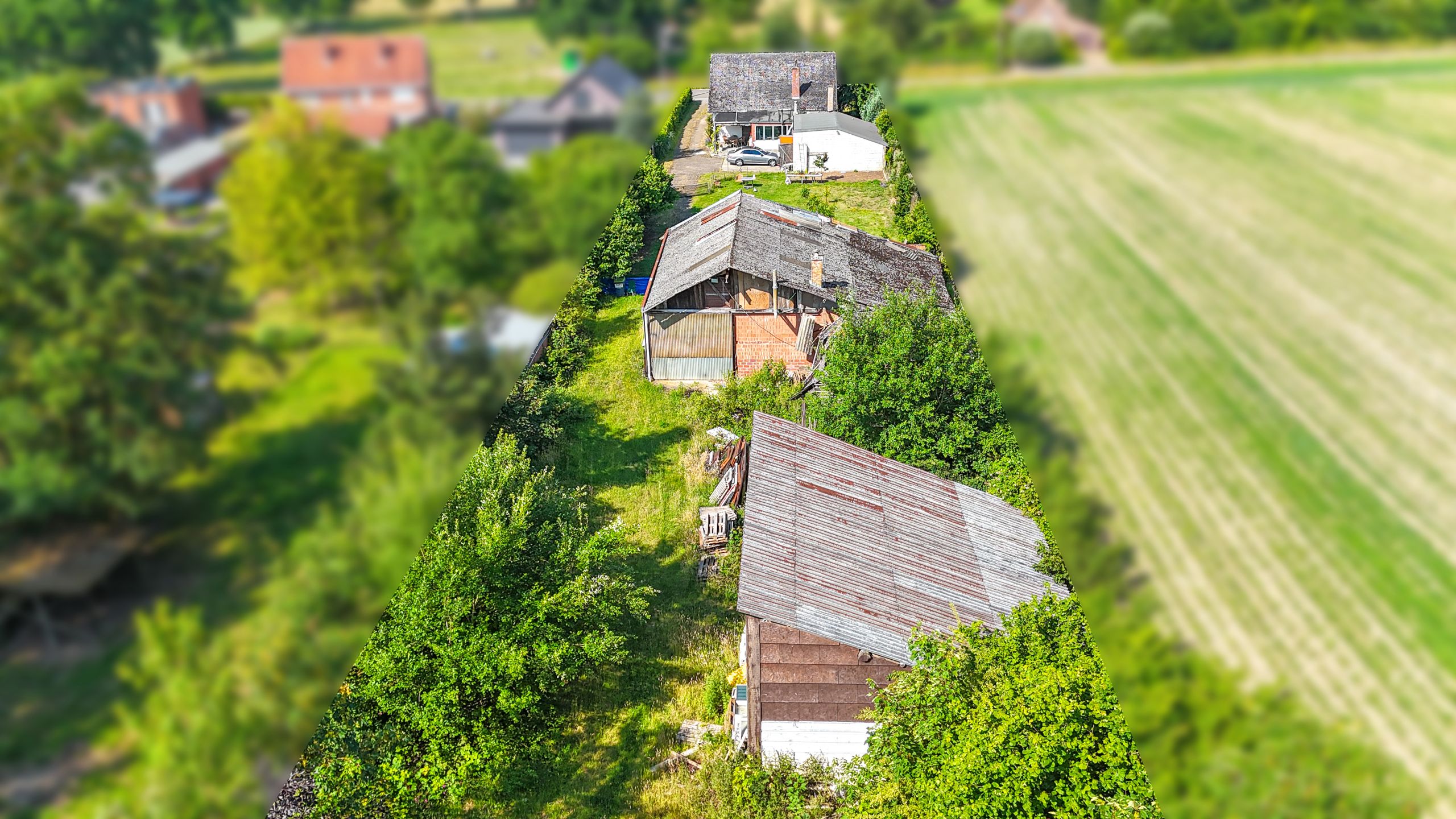 Vrijstaande woning met hangar en groot stuk grond-13.000m²! foto 48