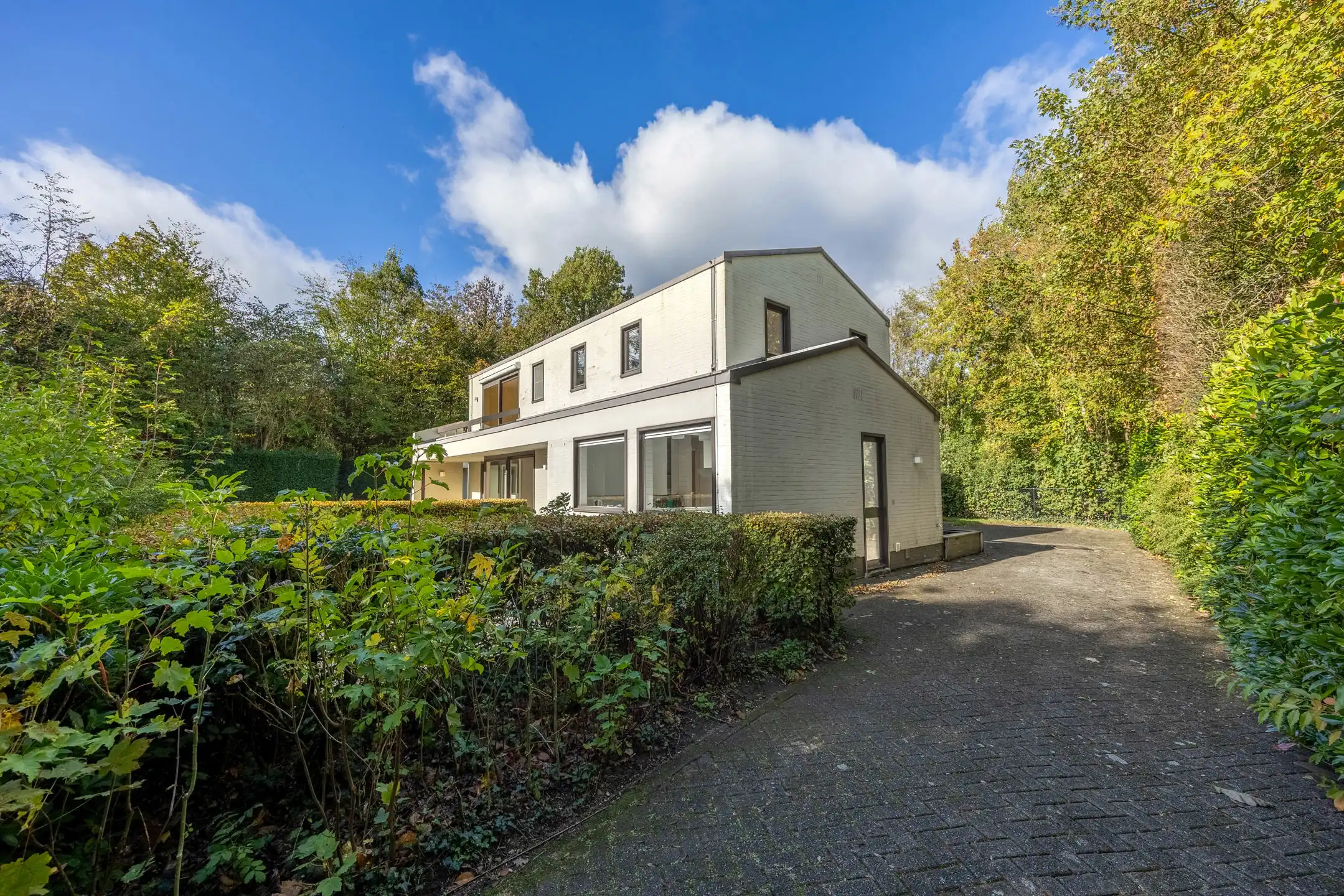 Seventiesvilla met zwembad en wellnessruimte in het groen  foto 4
