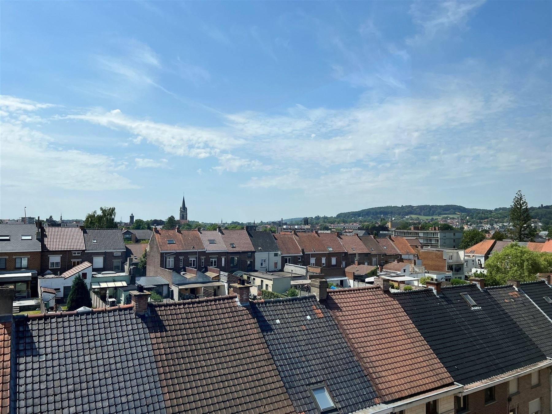 Uniek wonen omgeven door groen in ruime en smaakvol ingerichte  loft foto 9