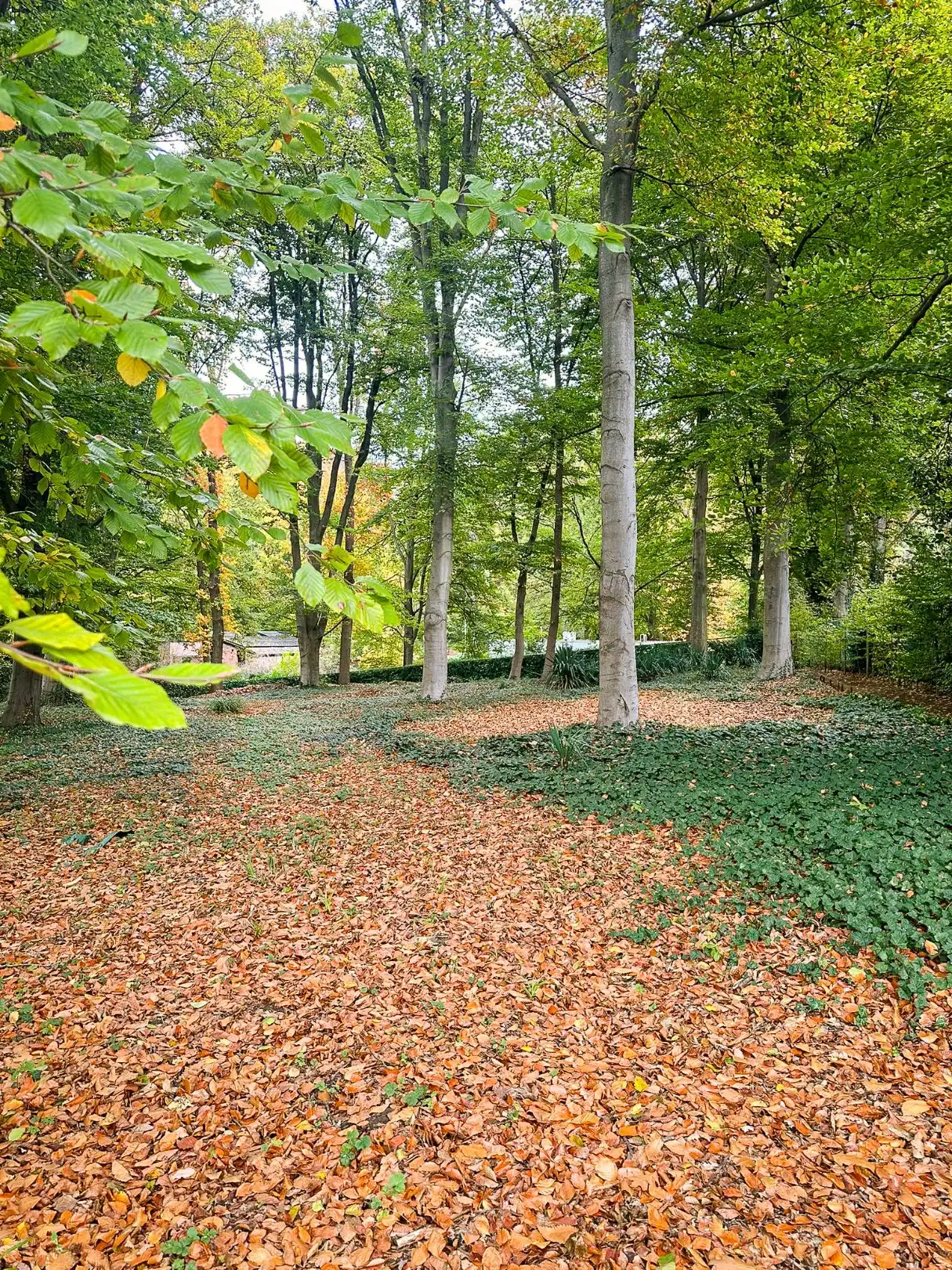 Prachtig perceel op unieke locatie! foto 5