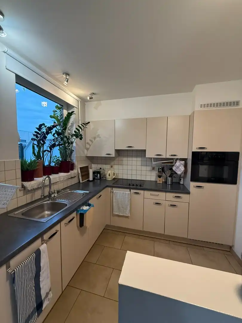 Gelijkvloers appartement met 2 slaapkamers, terras en ruime tuin te Hasselt. foto 9