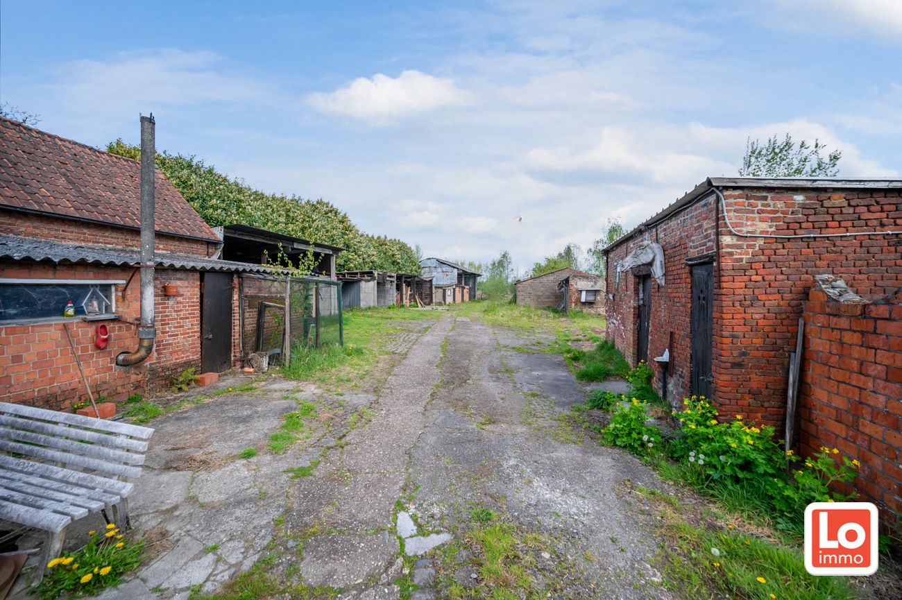 Landelijk gelegen halfopen woning met verschillende stallingen op groot perceel grond met open zicht in Zeveneken! foto 21