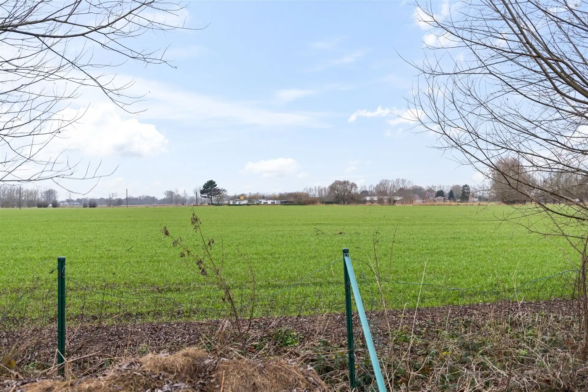 Te renoveren bungalow op een ruim stuk grond foto 4