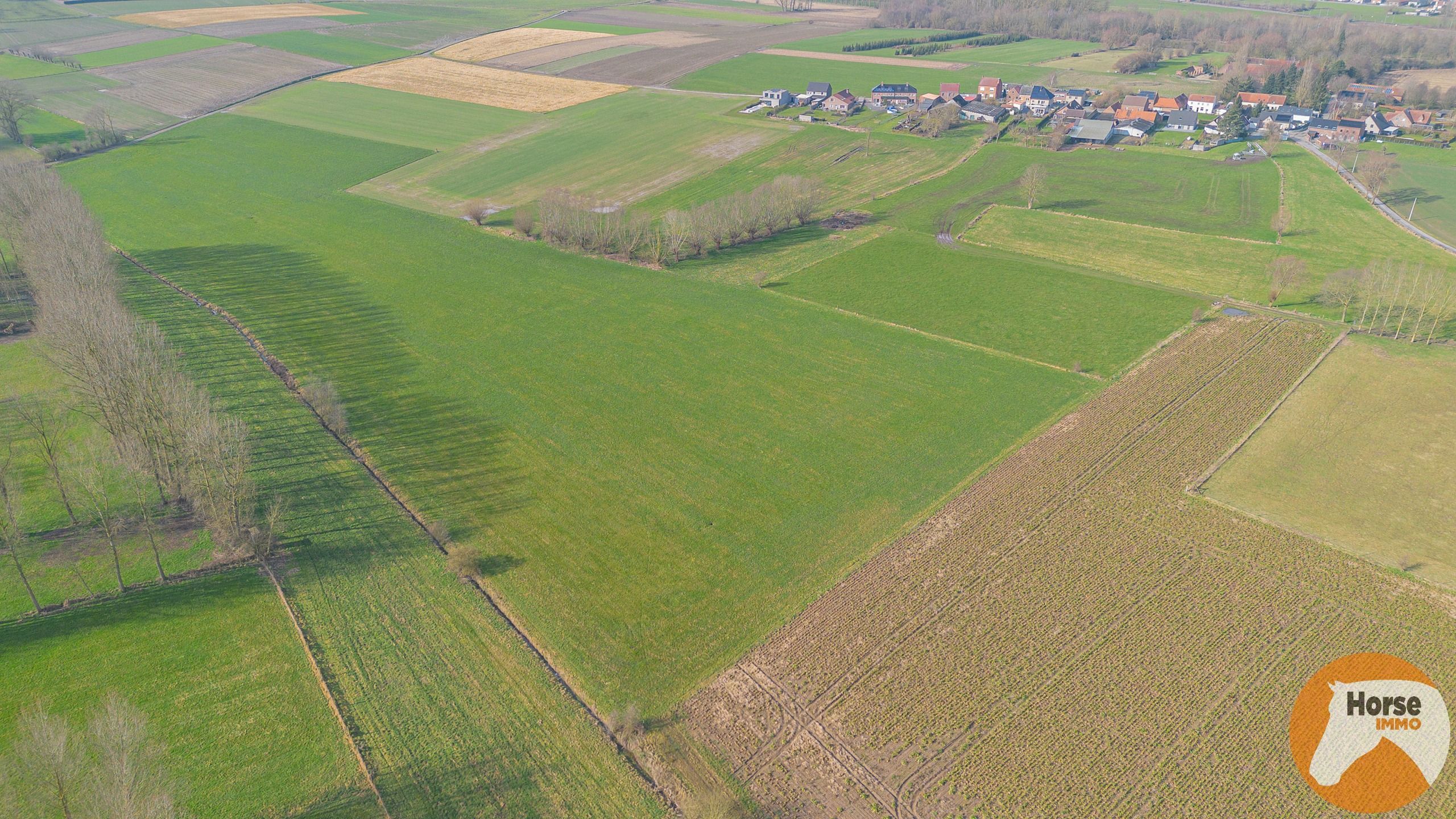 HILLEGEM – Landbouwgronden te koop foto 4