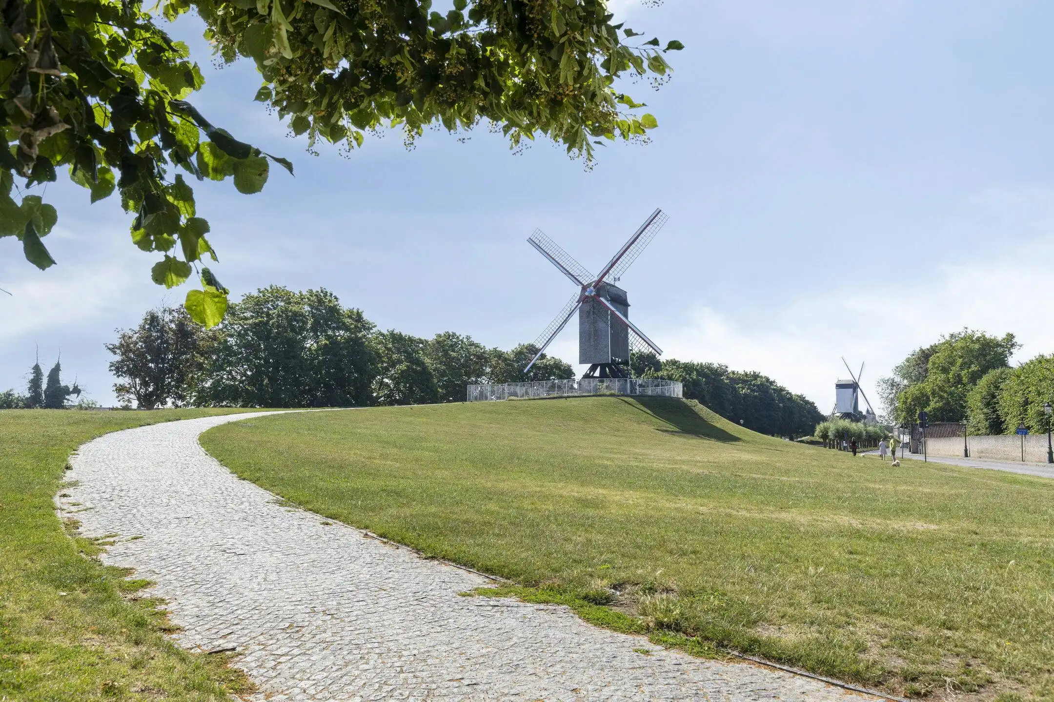 Charmante woning met 3 slaapkamers en koer in centrum Brugge foto 20