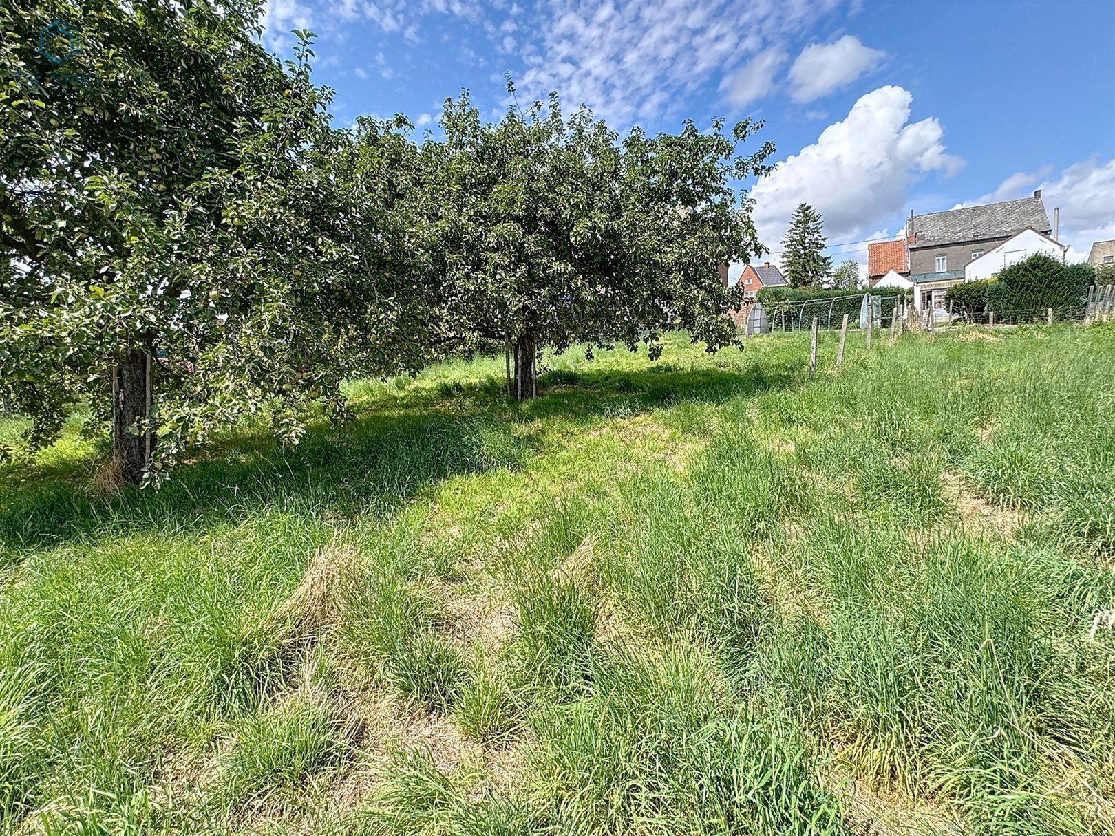 Te renoveren woning met 4 slpks, garage & prachtige tuin vlak aan station Lierde foto 7
