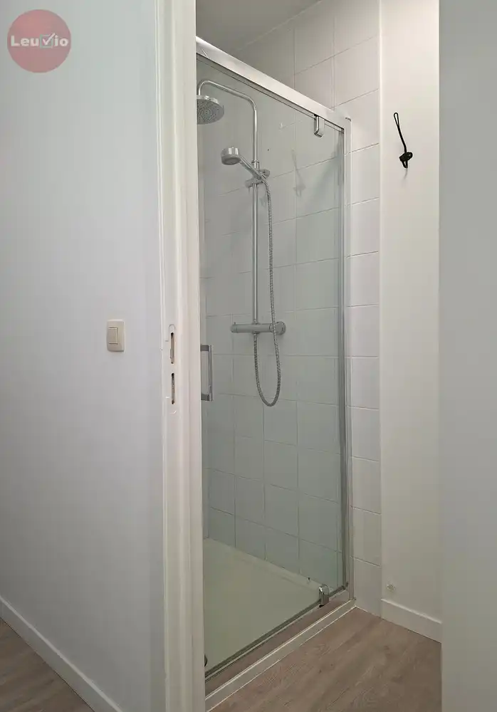 Instapklaar 1-slaapkamerappartement met tuin in het stadscentrum foto 10