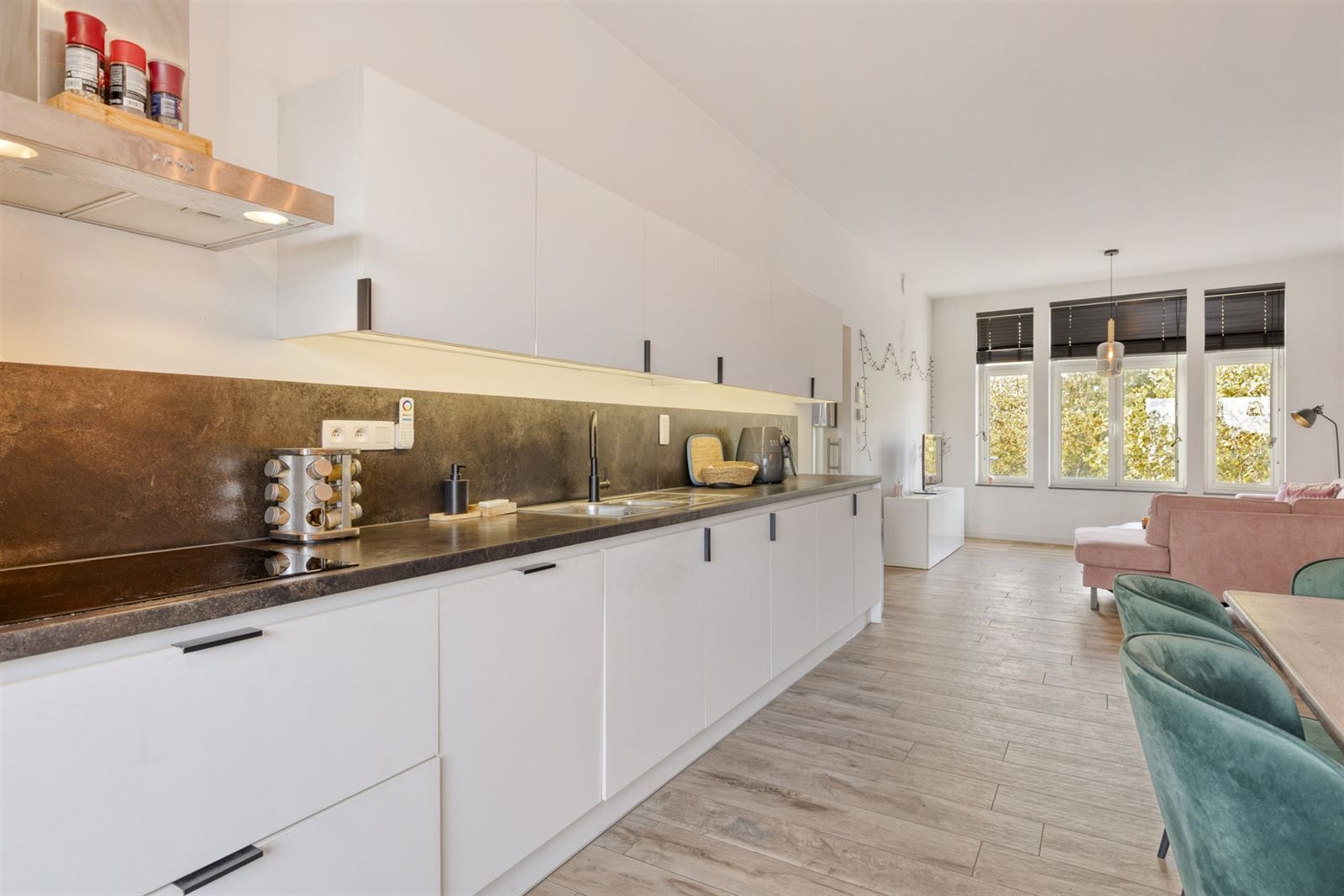  Modern wonen in een historisch kader De Brouweryen foto 9