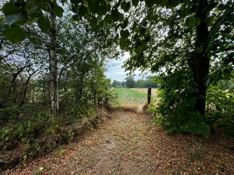 Ruime langgevelhoeve op 29a13 met veel potentieel! foto 24