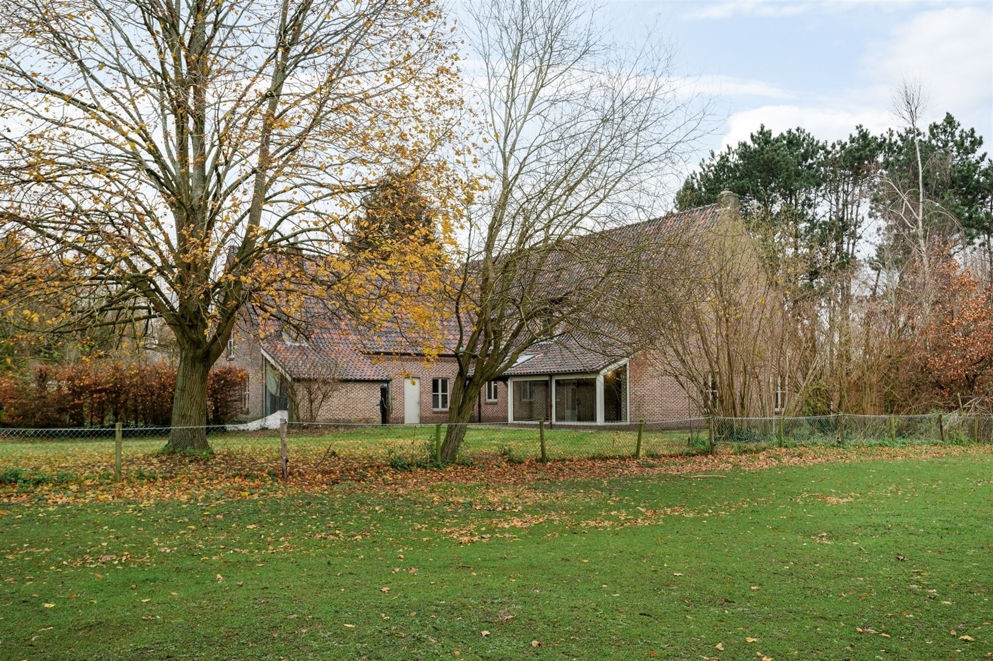 Exploitatiewoning op een perceel van + 1HA, volledig omgeven door groen, te Bonheiden. foto 16