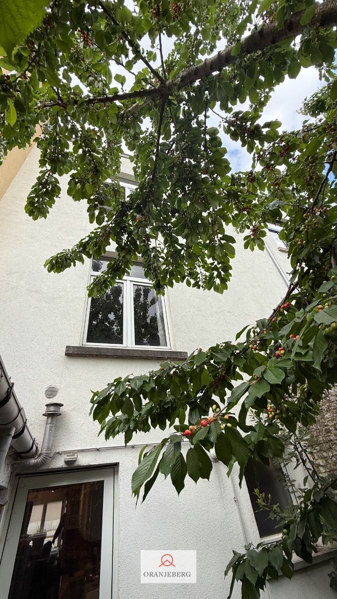 Ruime burgerwoning met stadstuint te Sint-Amandsberg foto 9