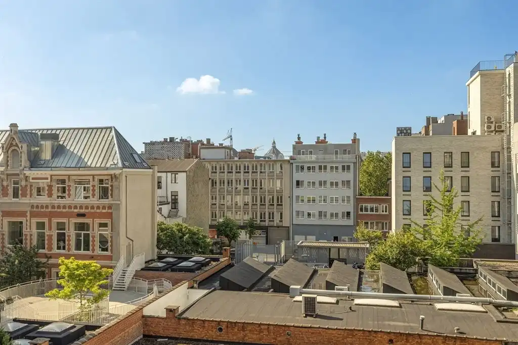 Gerenoveerd duplex appartement met 2 slaapkamers en gigantisch terras  foto 22
