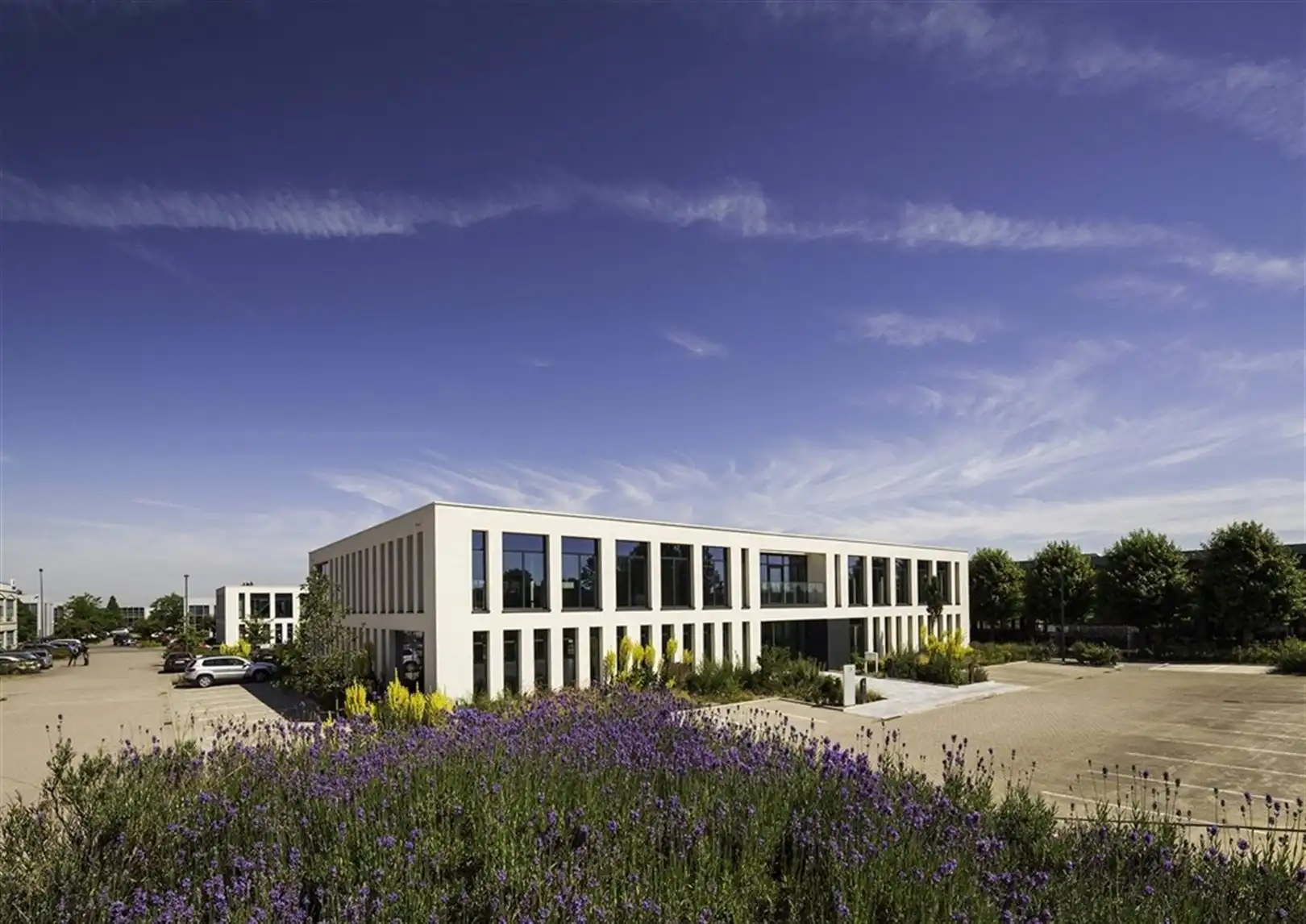 IKAROS PHASE III  foto {{pictureIndex}}