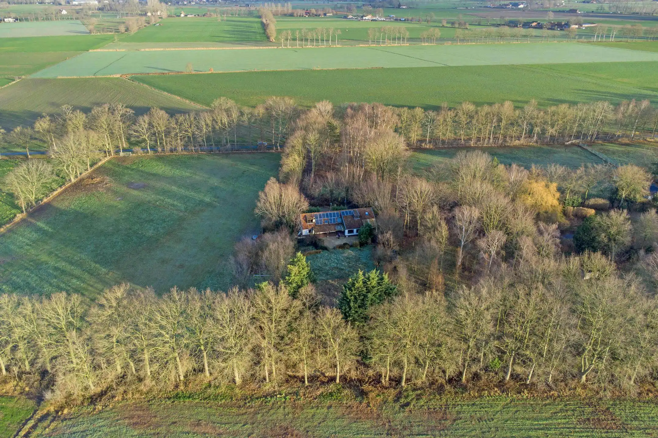 Uitzonderlijk gelegen huis (14.953m²) langs Haantjesveld te Maldegem foto 2