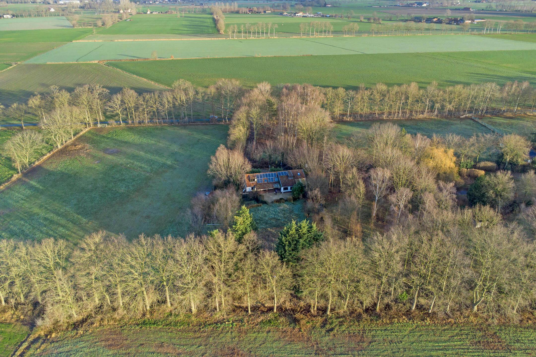 Uitzonderlijk gelegen huis (14.953m²) langs Haantjesveld te Maldegem foto 2