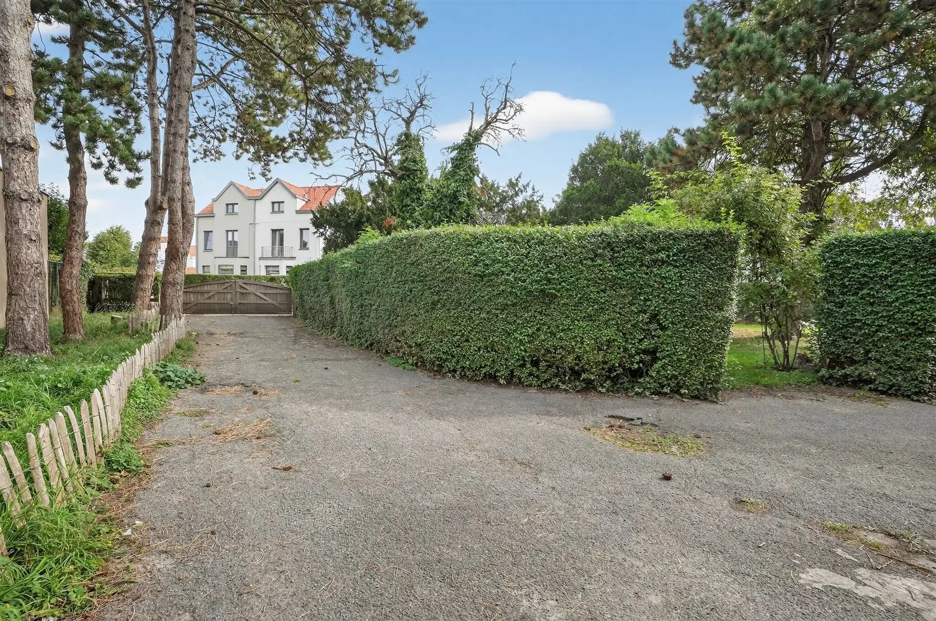 EXCLUSIEF / GROENE OASE  foto 36