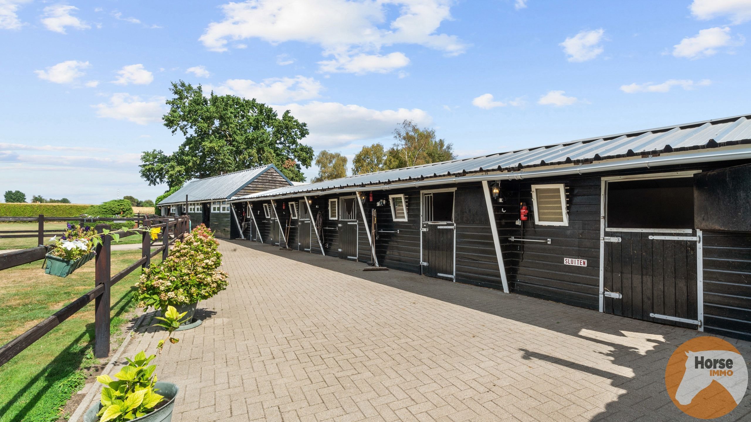 NEEROETEREN-Woning met accommodatie voor (semi)professioneel foto 7