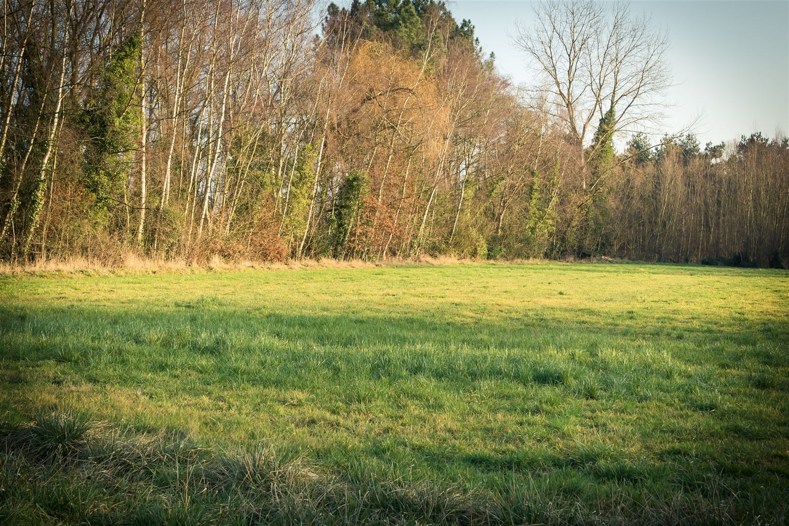 Landbouwgrond te Putte met goede bereikbaarheid foto {{pictureIndex}}