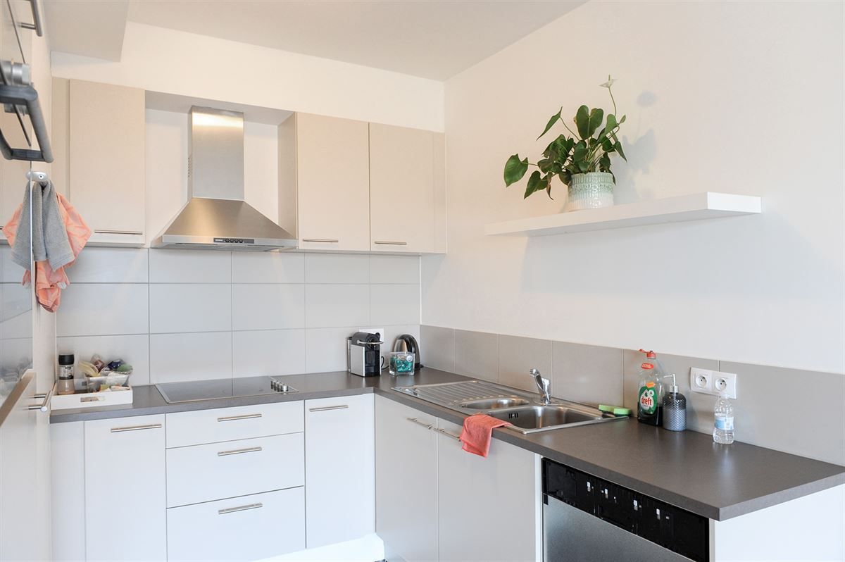 Ruim en modern appartement in het groene Wijnegem foto 6