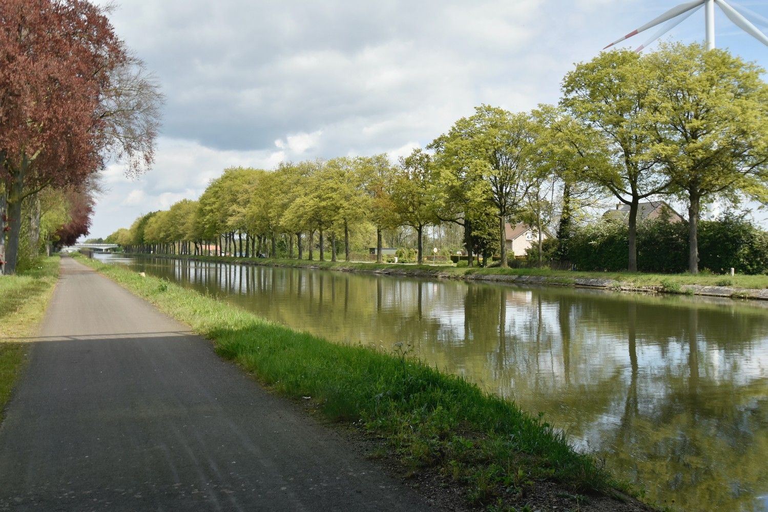 Grotendeels gemoderniseerde woning op een riant perceel gelegen aan de Zuid-Willemsvaart te Maasmechelen foto 3