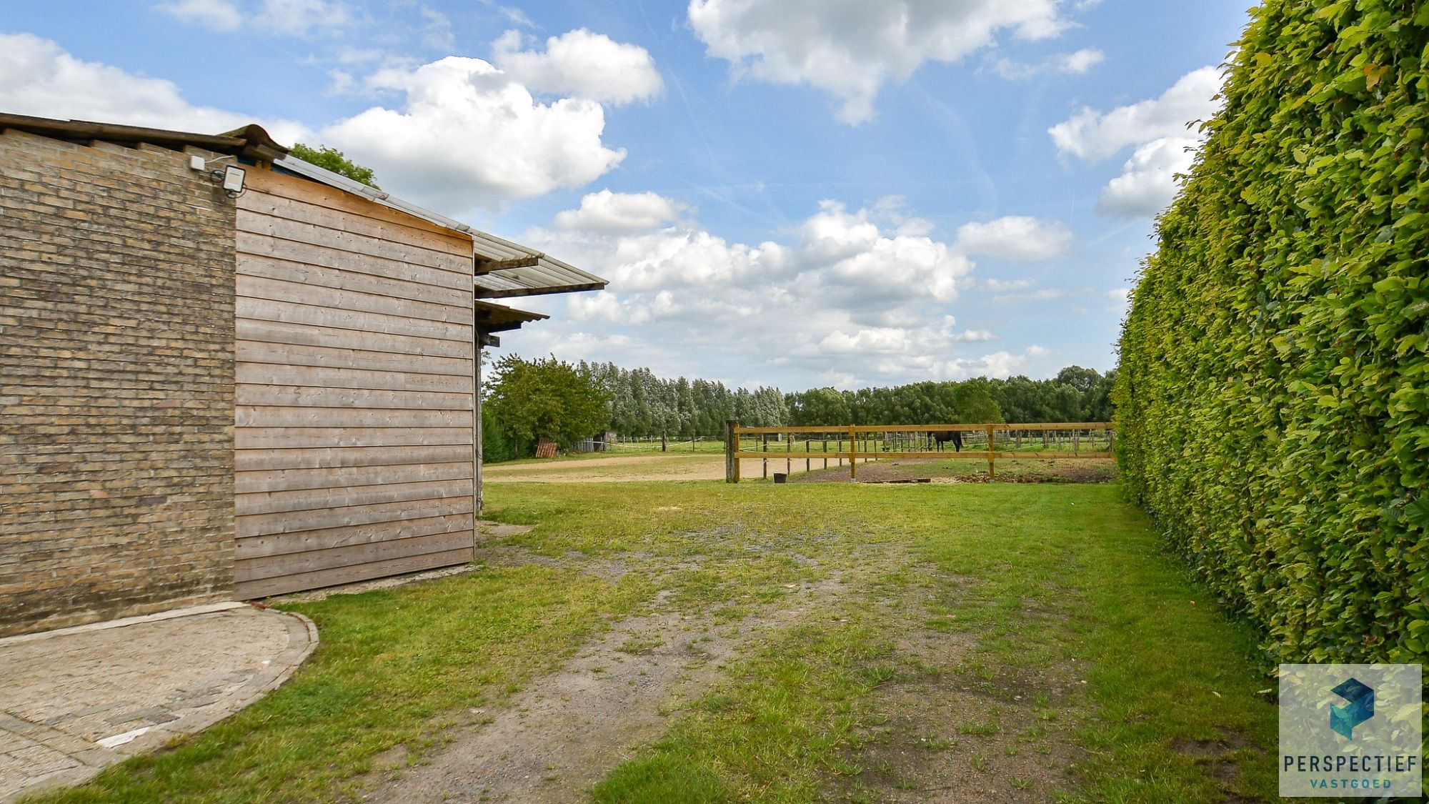 IDYLLISCH GELEGEN WONING met ACHTERLIGGENDE WEIDES en PAARDENFACILITEITEN foto 10