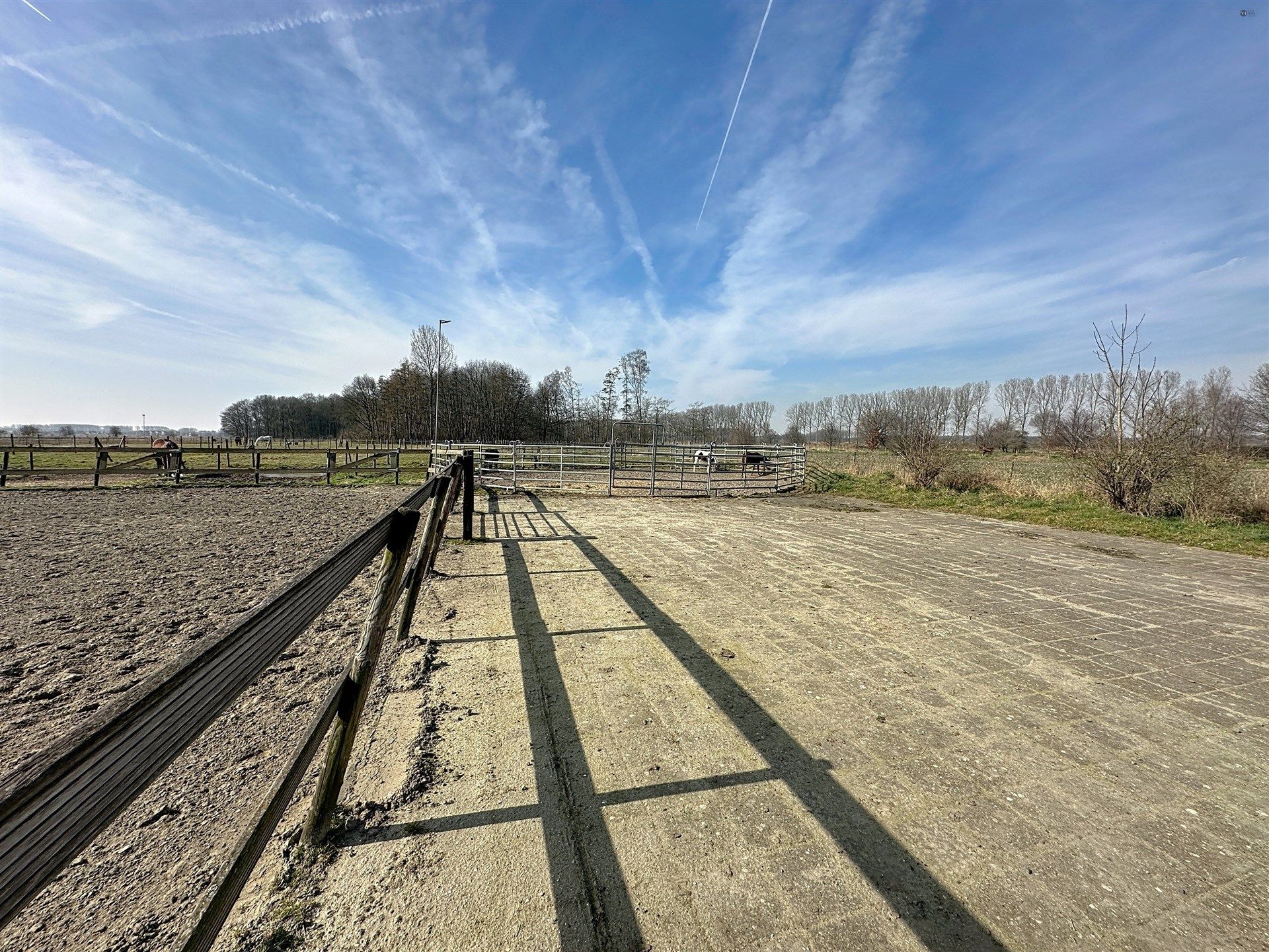 PRACHTIG GELEGEN HOEVE met bijgebouw, paardenstallen, binnenpiste en weiden op 18.385m² foto 47