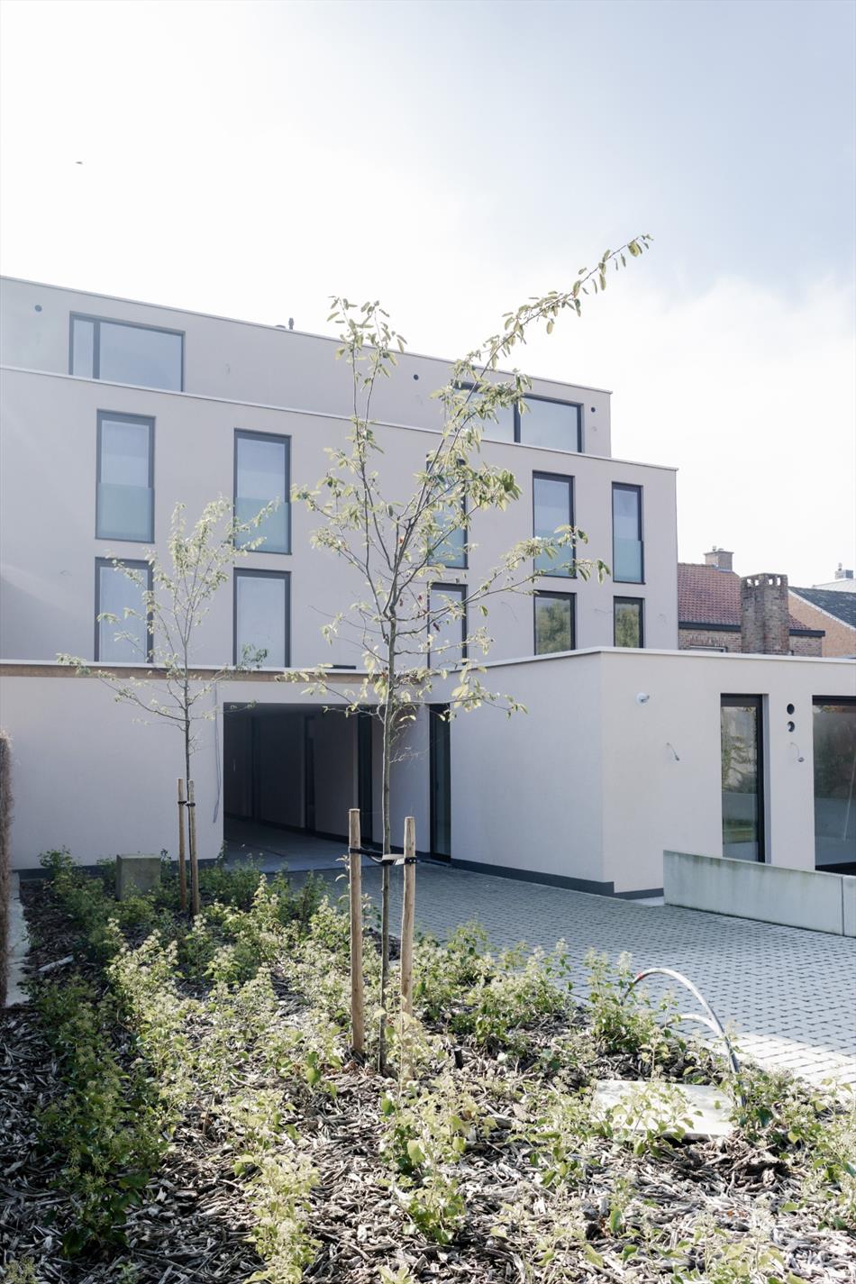 Gelijkvloersappartement met 3 slaapkamers en zongericht terras + tuin  foto 3