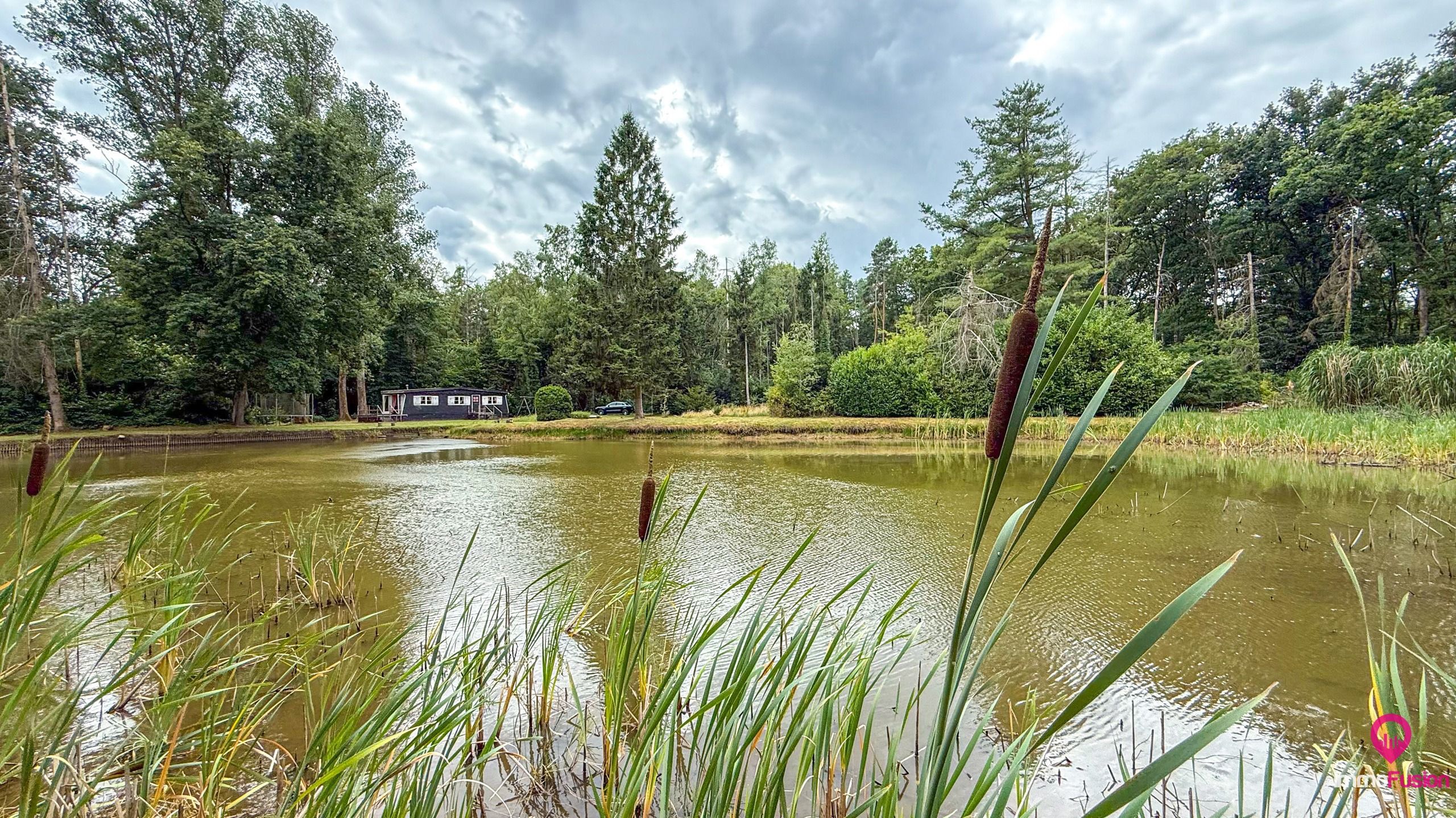 Droom buitenverblijf in Hasselt voor natuurliefhebbers!  foto 34