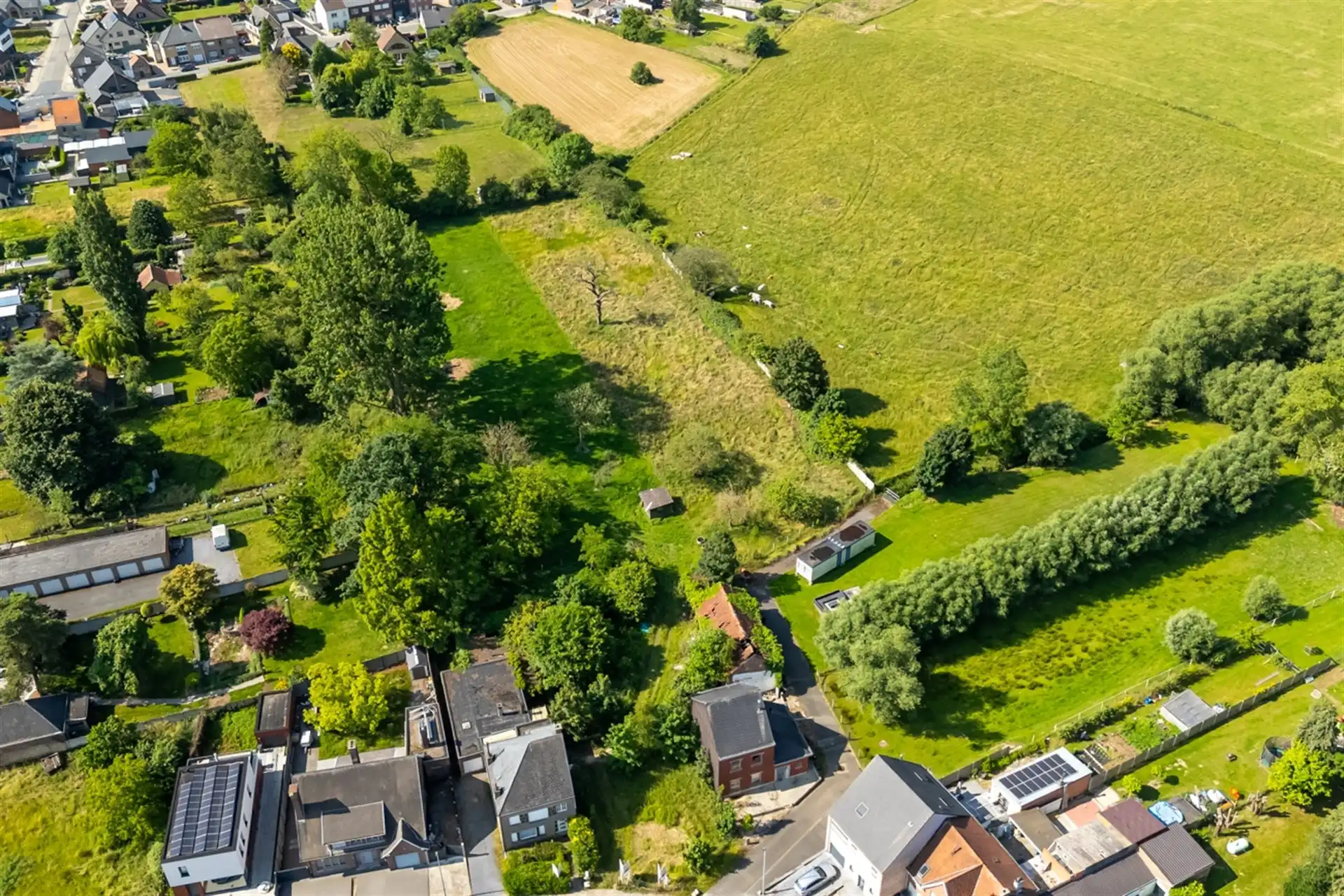 Landbouwgrond 6521m² in het landelijke Kerksken foto 9