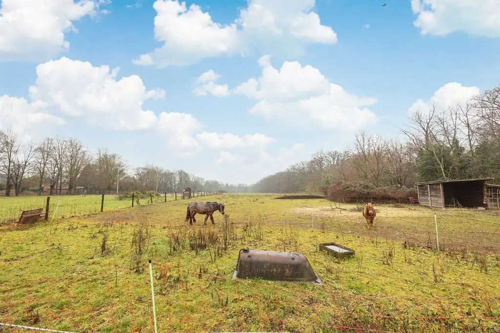 Langgevelhoeve op ca. 5 ha. vlak bij het dorp van Schilde, inclusief enkele bouwgronden. foto 30