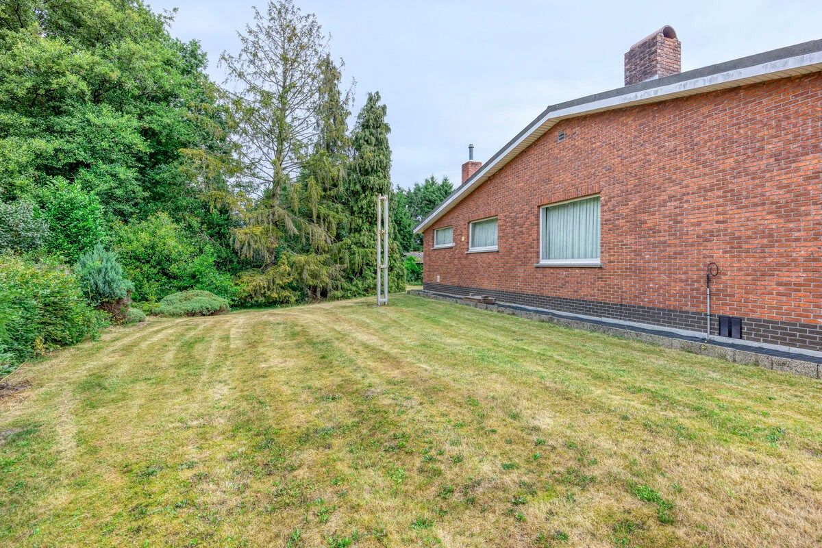 Ruim ingedeelde gelijkvloers woning met 4 slpks en bijgebouw/stal op 32 are foto 32