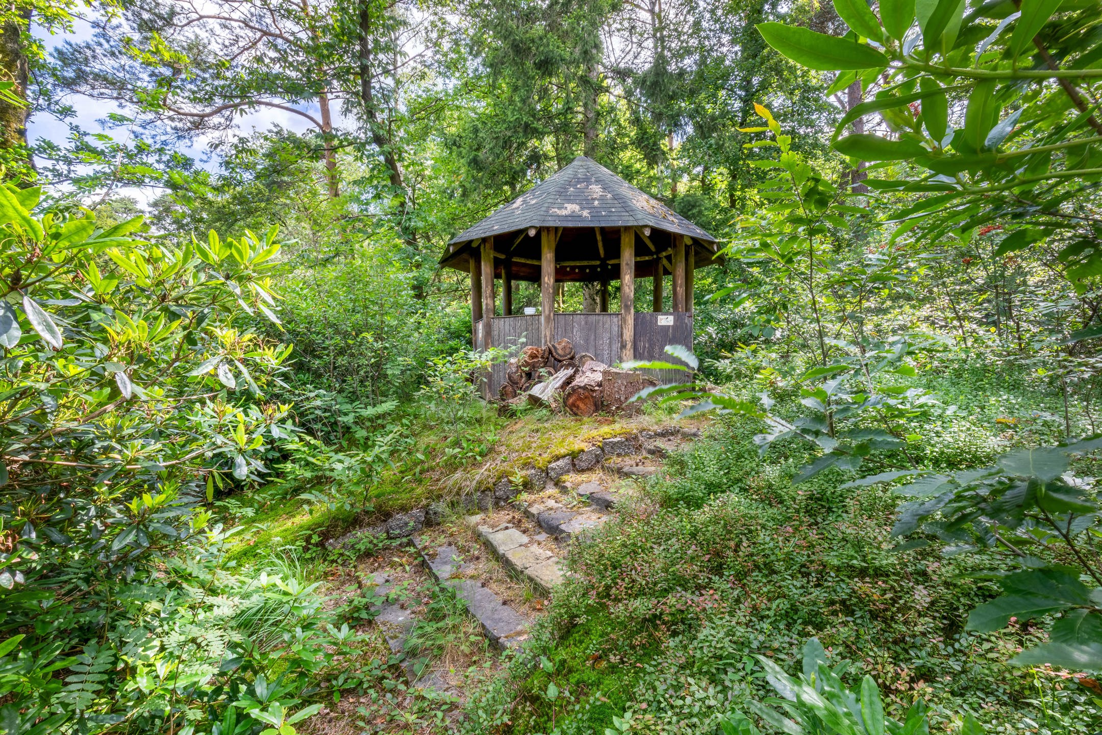 Uitzonderlijk domein met woonst op ca. 143.000 m² foto 6