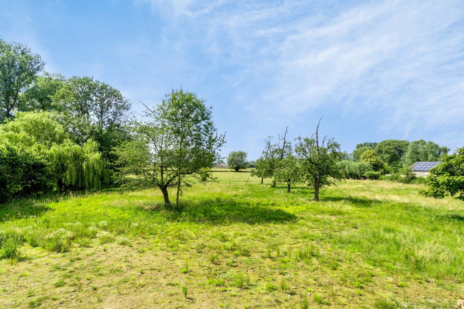 Zuidwest gerichte bouwgrond (6a35) te koop in Zandbergen foto 8