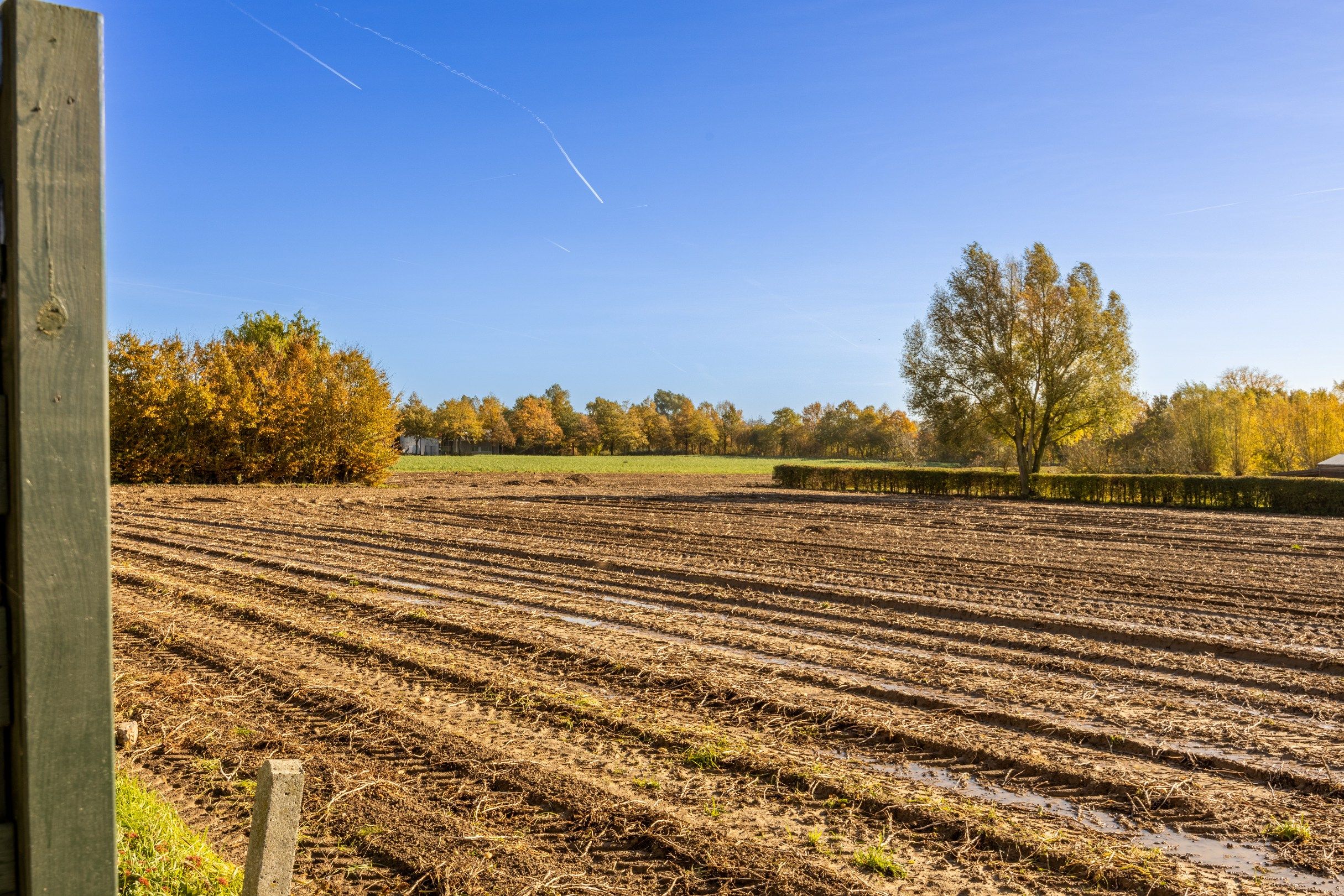 KLOEKE HOB MET DUBBELE GARAGE EN VERZICHT foto 9