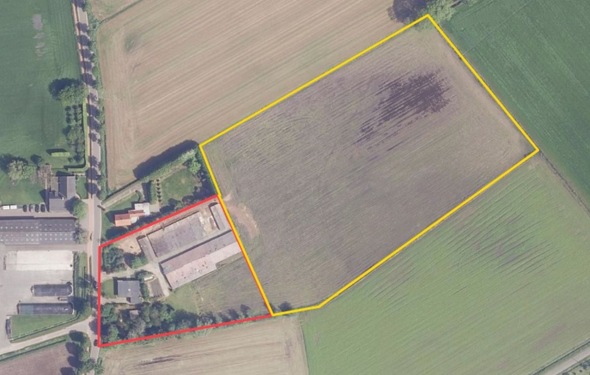 Hoeve met stallen en landbouwgrond te koop te Weelde foto 3