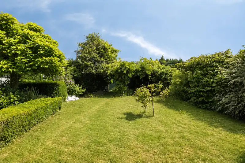 Charmante cottage met bijgebouw op een goede locatie in Olsene foto 21