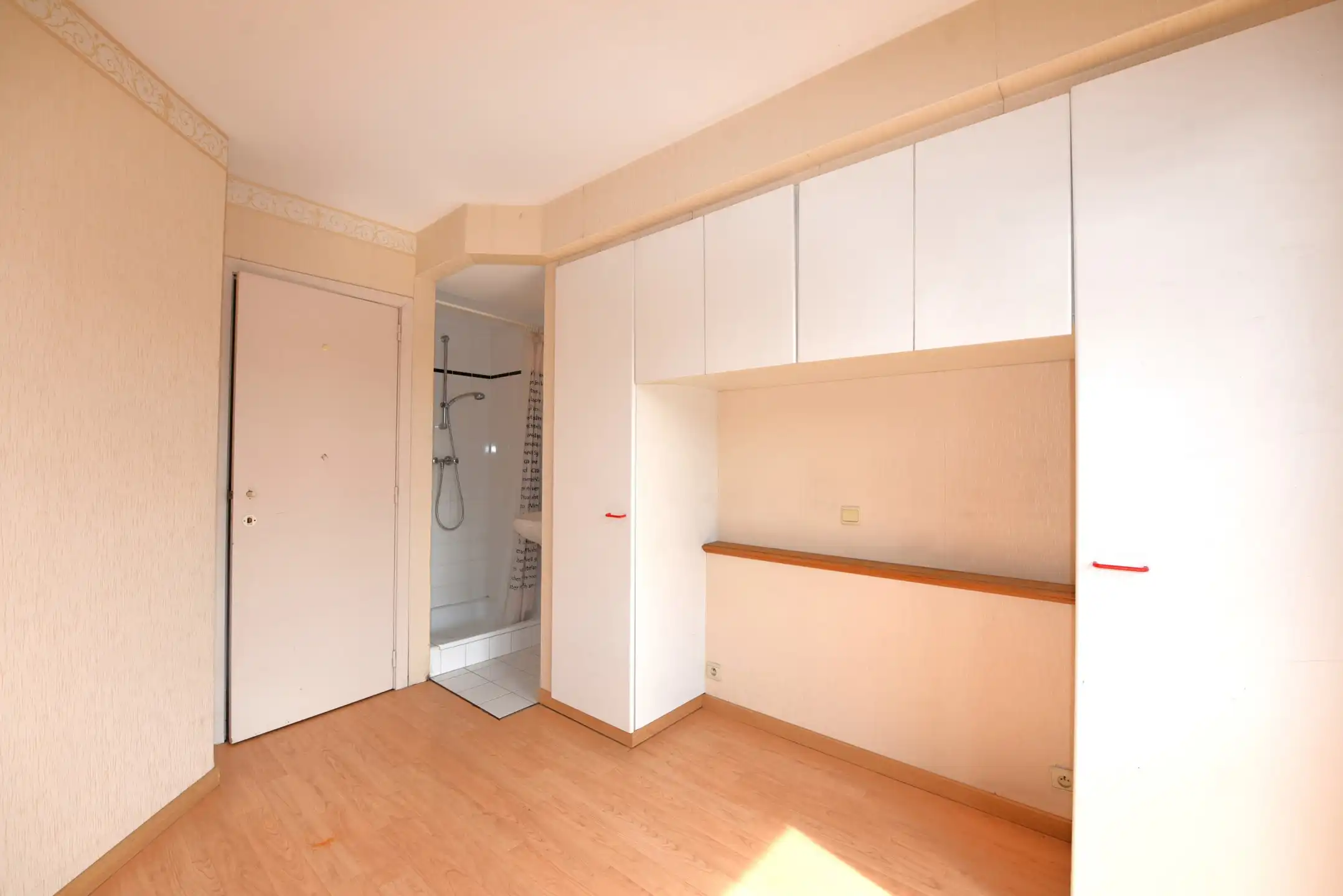 Lichtrijk appartement aan de zonnekant van de Lippenslaan. foto 12